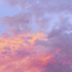 Meet your Posher, Tela